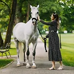 Elegans Brdo 4*