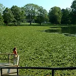 Elegans Brdo Kranj