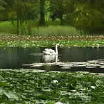 Отель Elegans Brdo Крань