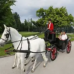 Отель Elegans Brdo
