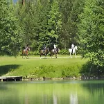 Elegans Brdo