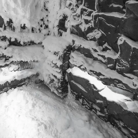 Hotel Elegans Brdo 4*