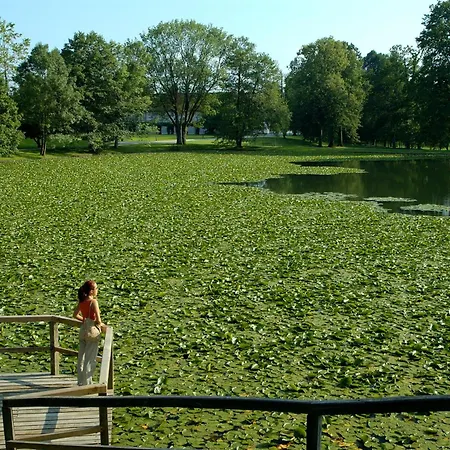 Elegans Brdo קראנז'