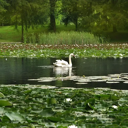 Hotel Elegans Brdo Kranj