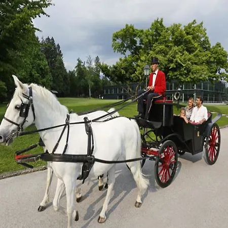 מלון Elegans Brdo