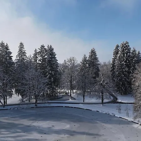 Ξενοδοχείο Elegans Brdo Κραν