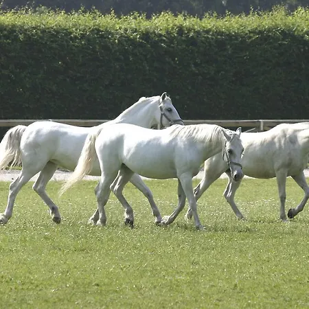 Hotel Elegans Brdo Kranj