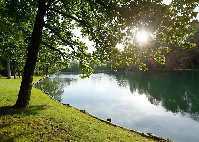 Hotel Elegans Brdo Kranj