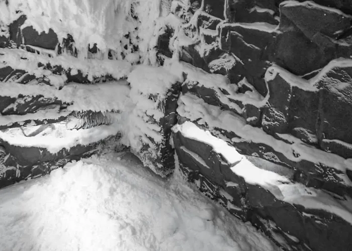 Hotel Elegans Brdo 4*