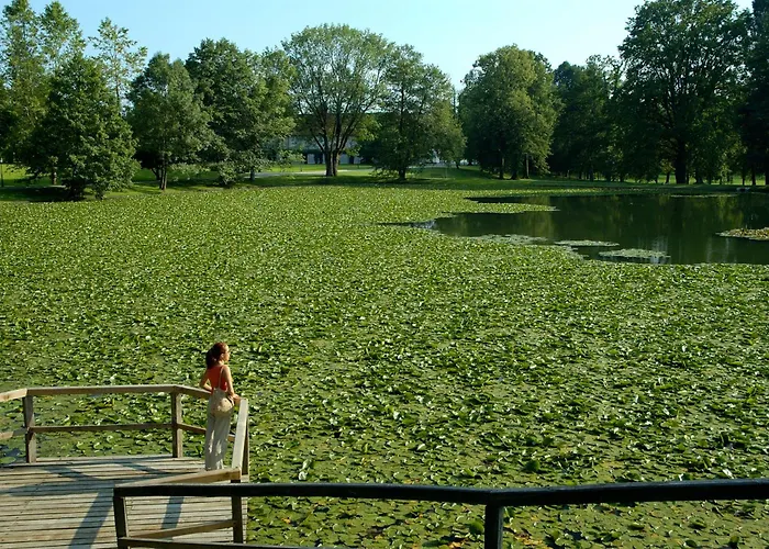 Elegans Brdo Κραν