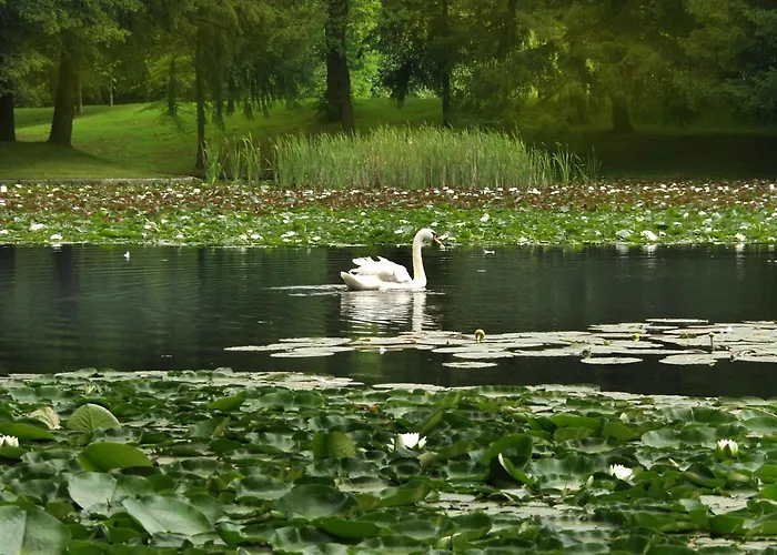 Hotel Elegans Brdo Kranj