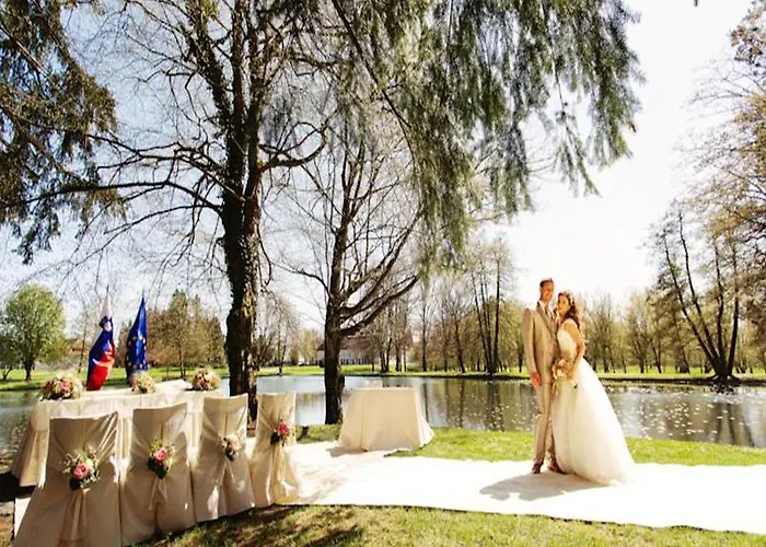 Elegans Brdo 4* Κραν