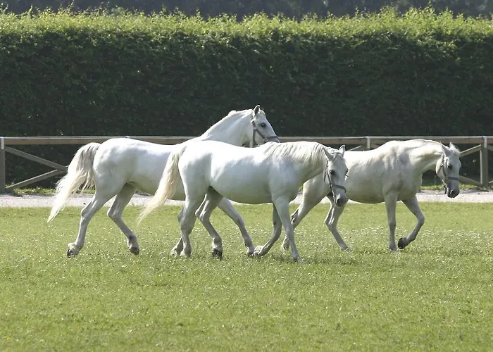 Ξενοδοχείο Elegans Brdo Κραν